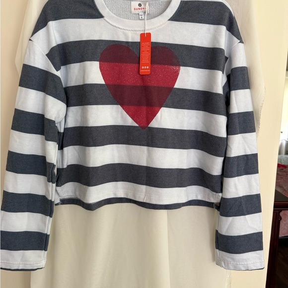 NWT Sundry Blue and White Striped Sweatshirt with Red Heart Size Medium - Picture 3 of 4